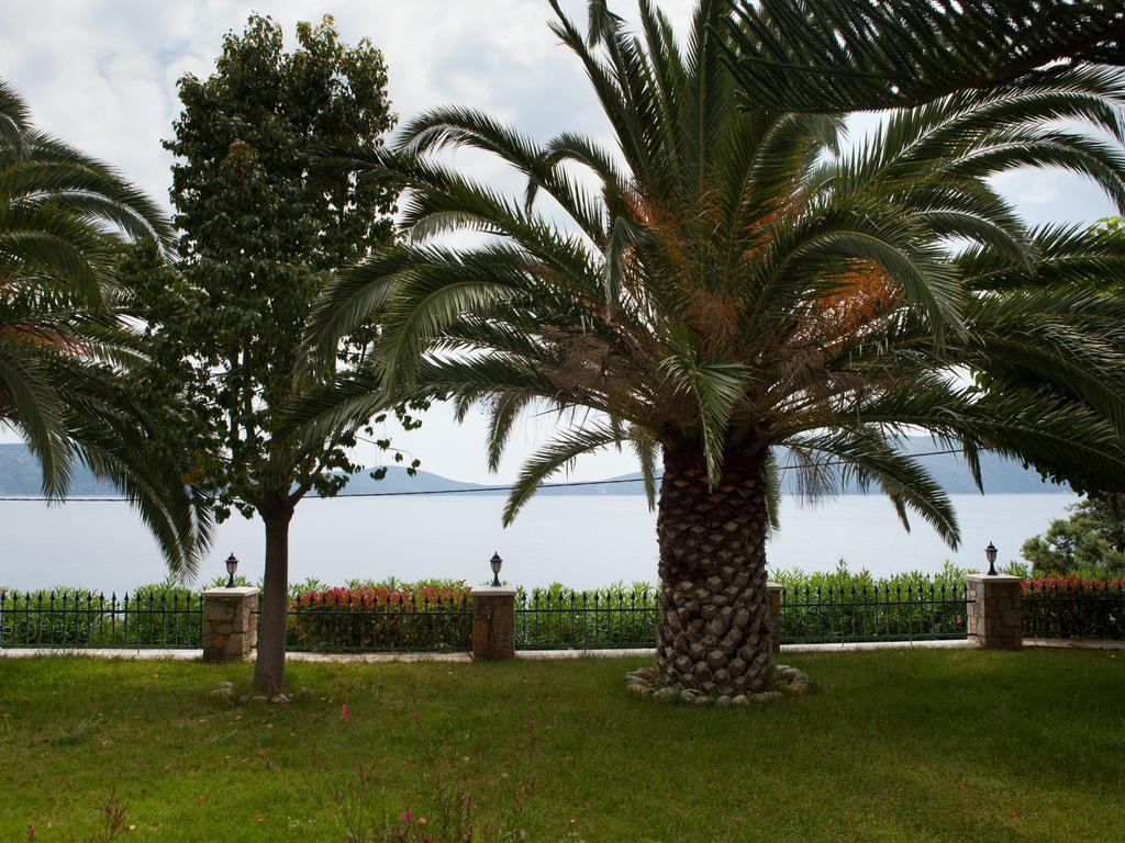 Alonissos Muses Villas Kalamakia Exterior photo